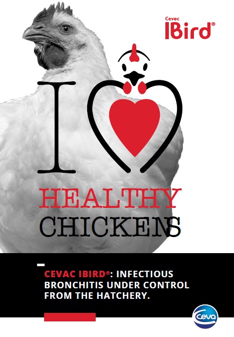 COVER_IBird_BROCHURE_2023